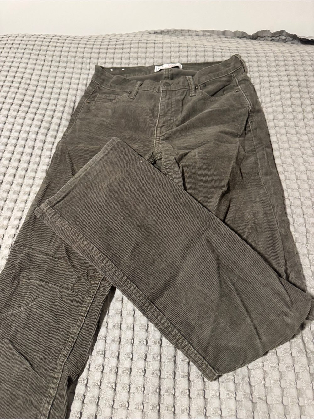 GAP Women's Corduroy Pants in Olive